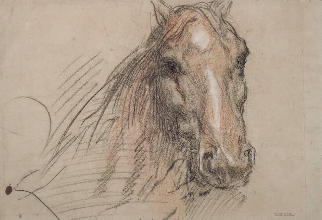 Tête de cheval, vue presque de face Théodore Chasseriau