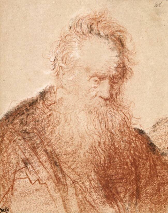 Tête d'un vieillard Rembrandt