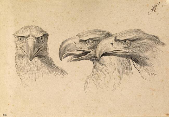 Trois têtes d'aigles Charles Le Brun
