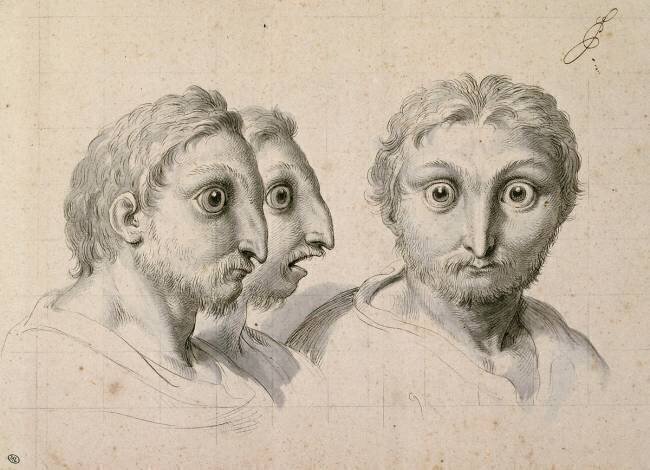 Trois têtes d'hommes en relation avec le chat-huant Charles Le Brun