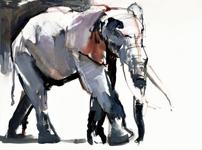 African Elephant Mark Adlington