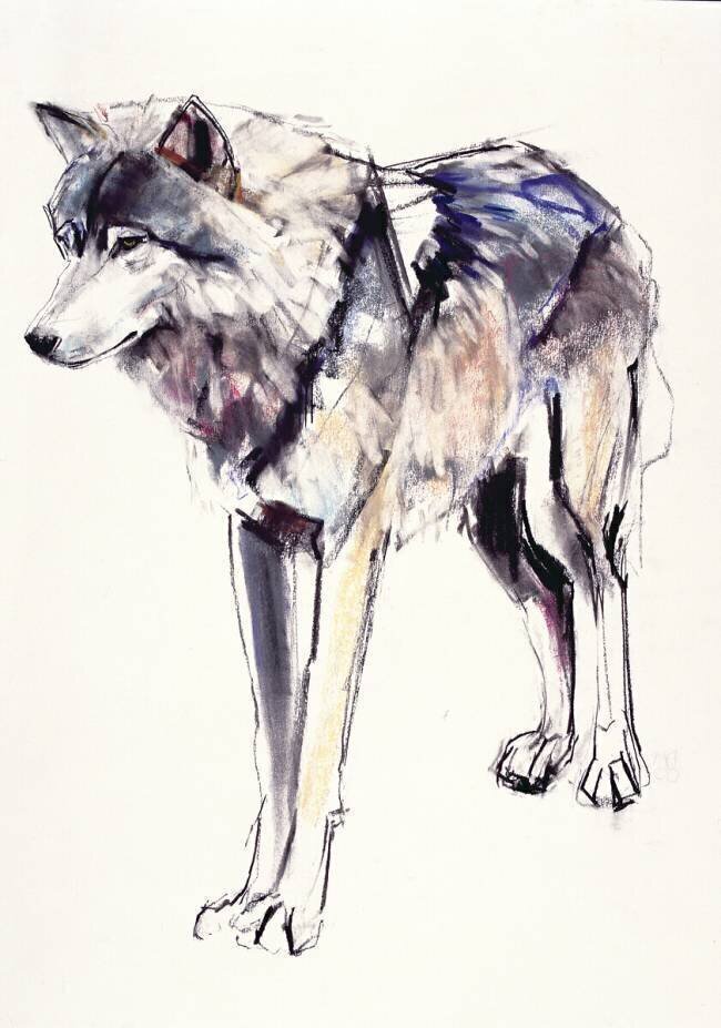Alpha Mark Adlington