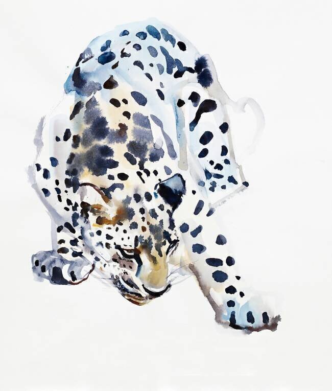 Arabian Leopard Mark Adlington