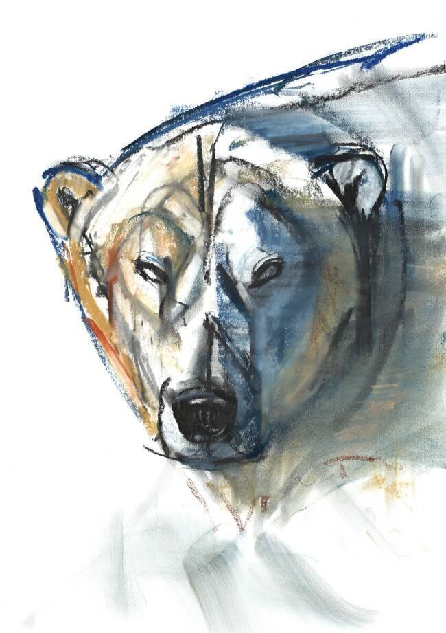 Arctic Icon Mark Adlington
