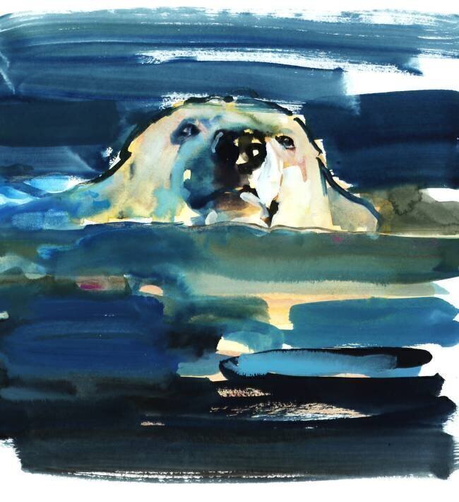 Arctic Swim Mark Adlington