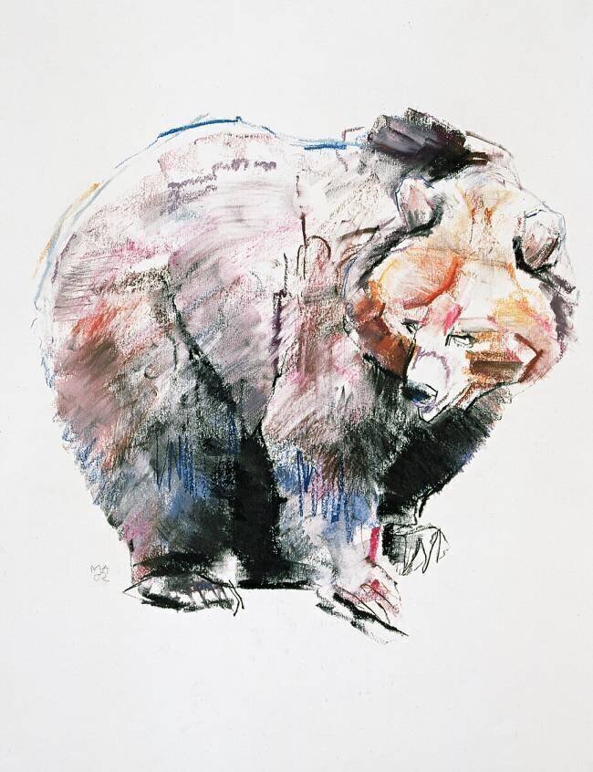Bear Mark Adlington