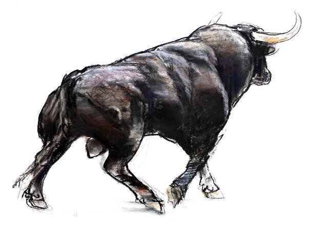Bull Mark Adlington