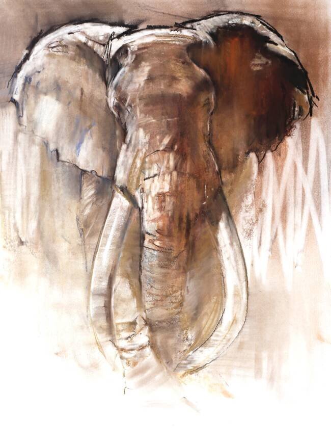 Bull Elephant Mark Adlington