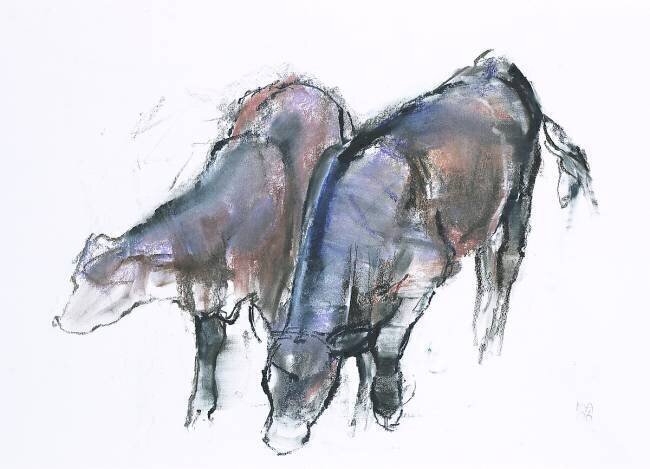 Calves Mark Adlington