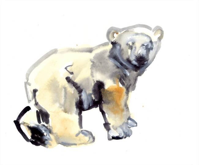 Cub Mark Adlington