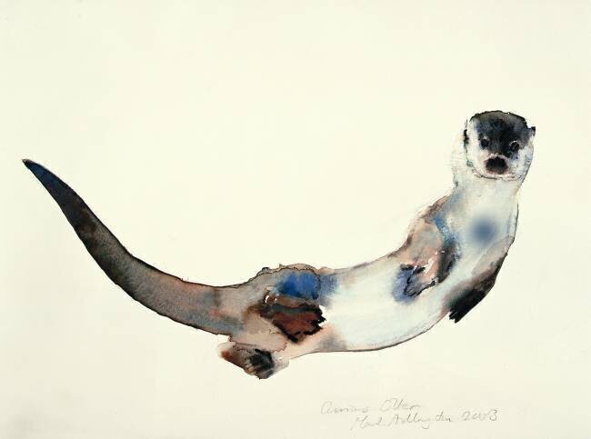 Curious Otter Mark Adlington