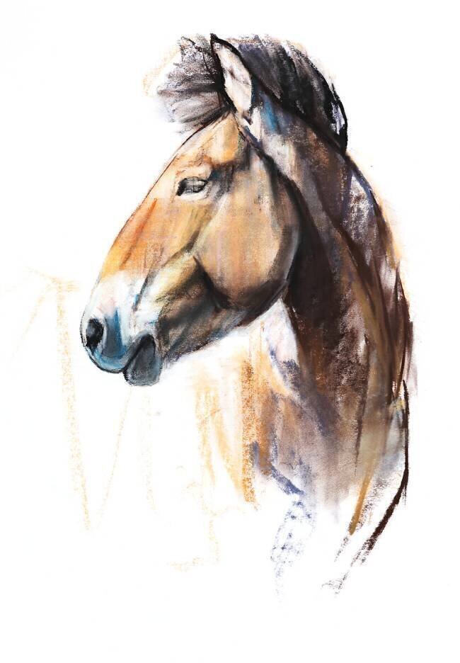 Desert Spirit Mark Adlington