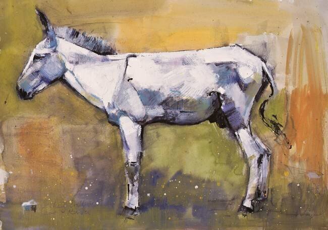 Donkey Stallion Mark Adlington