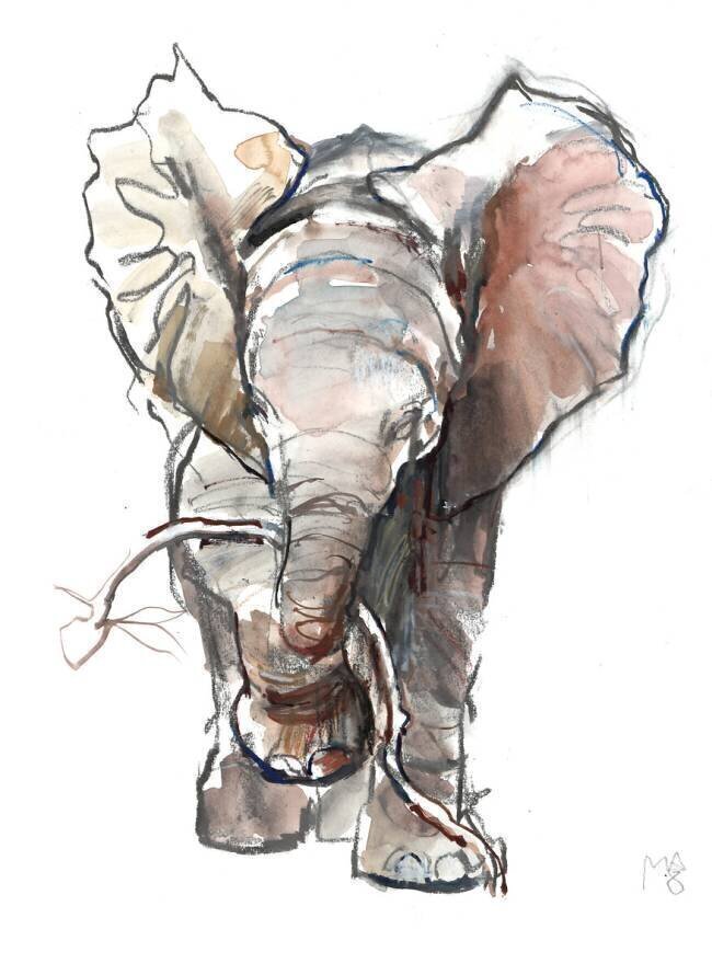 Dumbo Mark Adlington
