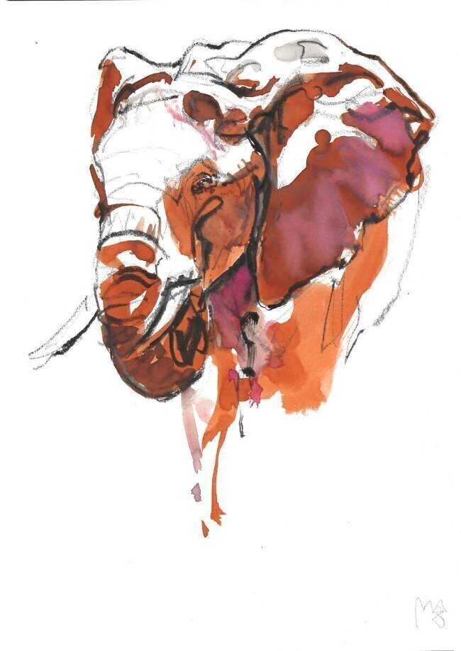 Elephant Head study II Mark Adlington