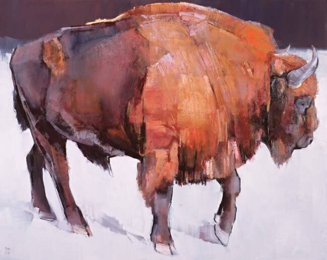 European Bison Mark Adlington