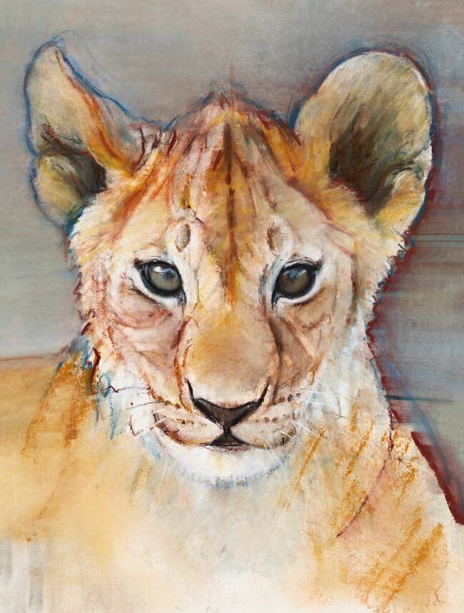 Fierce cub Mark Adlington