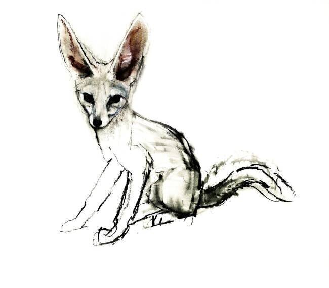Foxy Mark Adlington