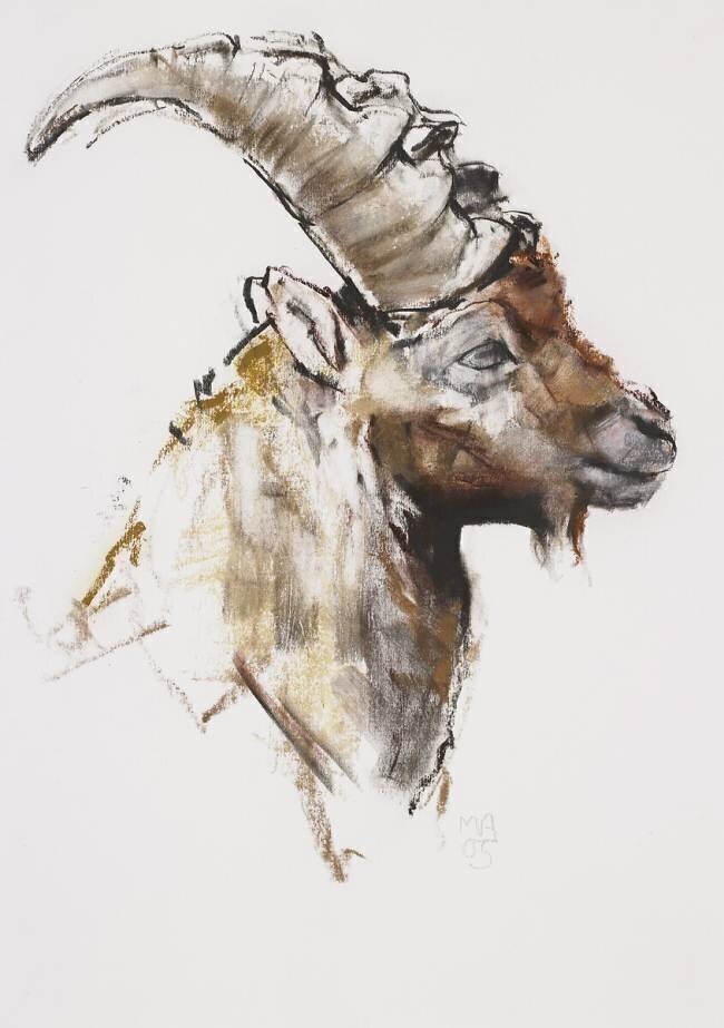 Giovanotto Mark Adlington