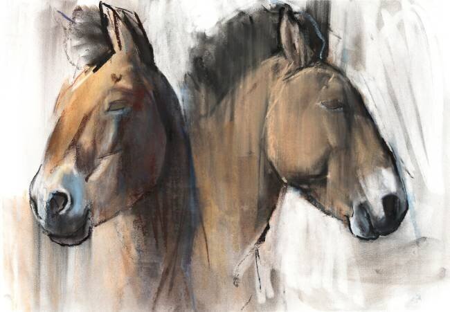 Head Study Mark Adlington
