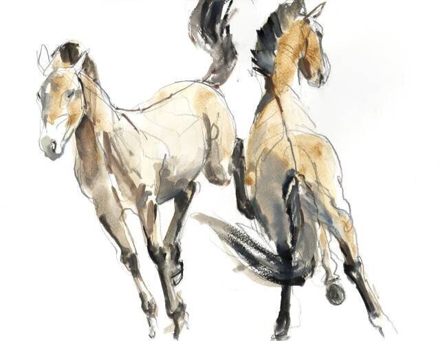 Horsing Mark Adlington