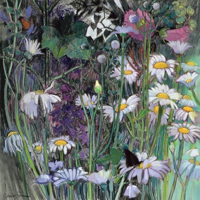 Le jardin blanc Claire Spencer