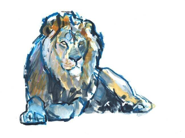 Lion Mark Adlington