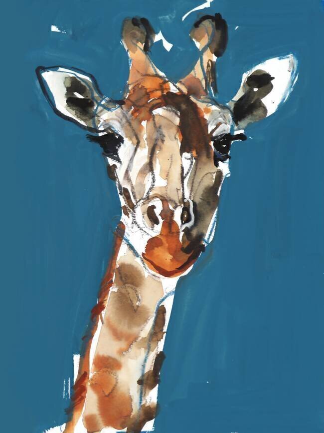 Masai Giraffe Mark Adlington