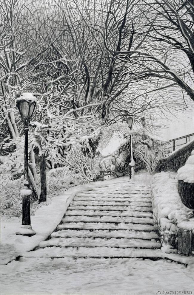 Neige à Central Park Max Ferguson