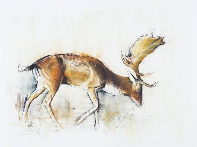 Pisanello Buck Mark Adlington
