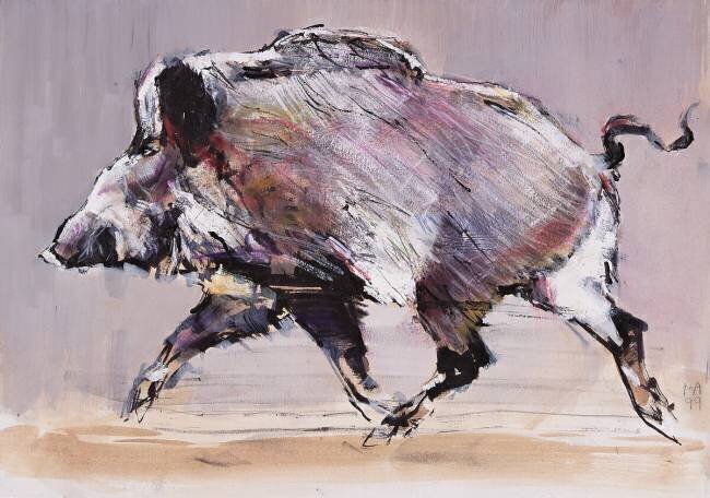 Running boar Mark Adlington
