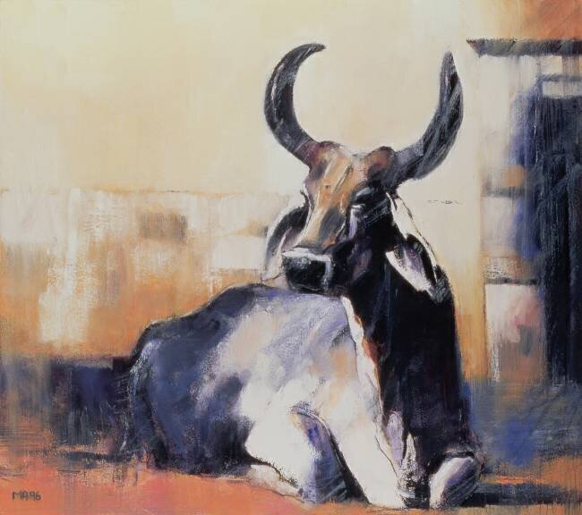 Sacred Cow Mark Adlington