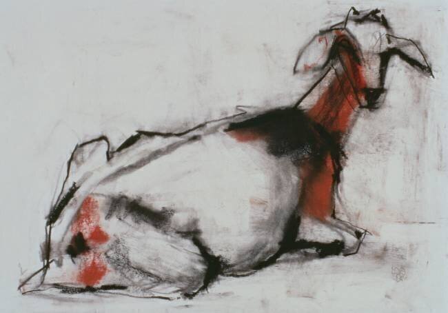 Seated Goat Mark Adlington