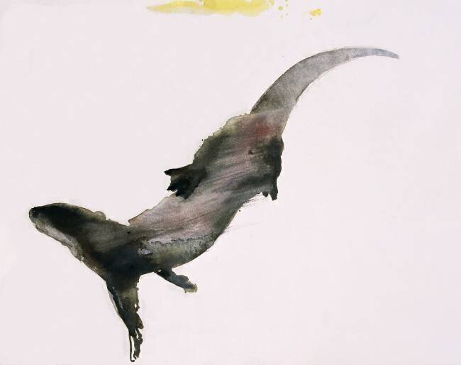 Slipstream Mark Adlington