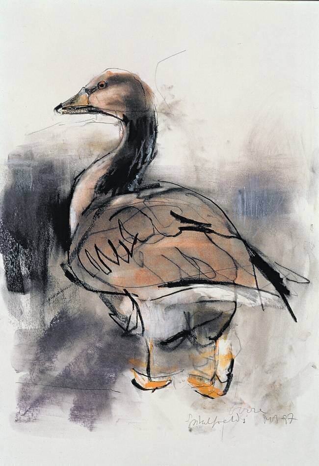 Spitalfields Goose Mark Adlington