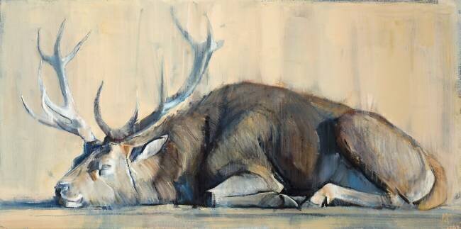 Stag Mark Adlington