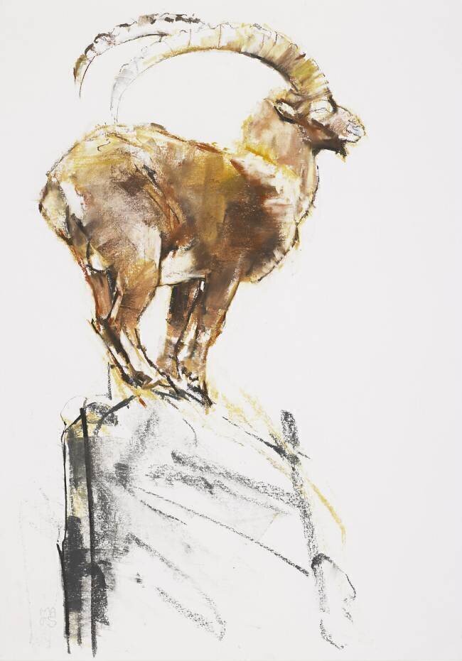 Stambecco d'Oro Mark Adlington