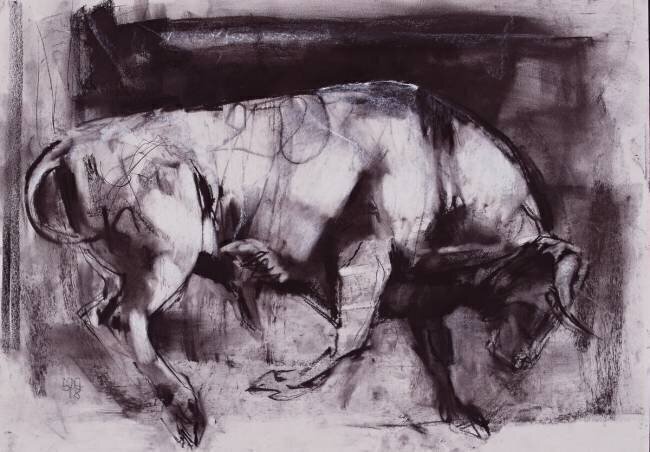 The White Bull Mark Adlington