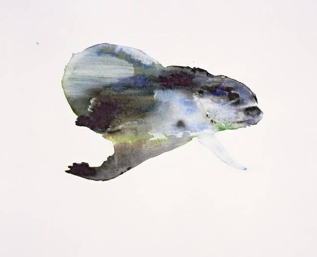 Underwater Mark Adlington