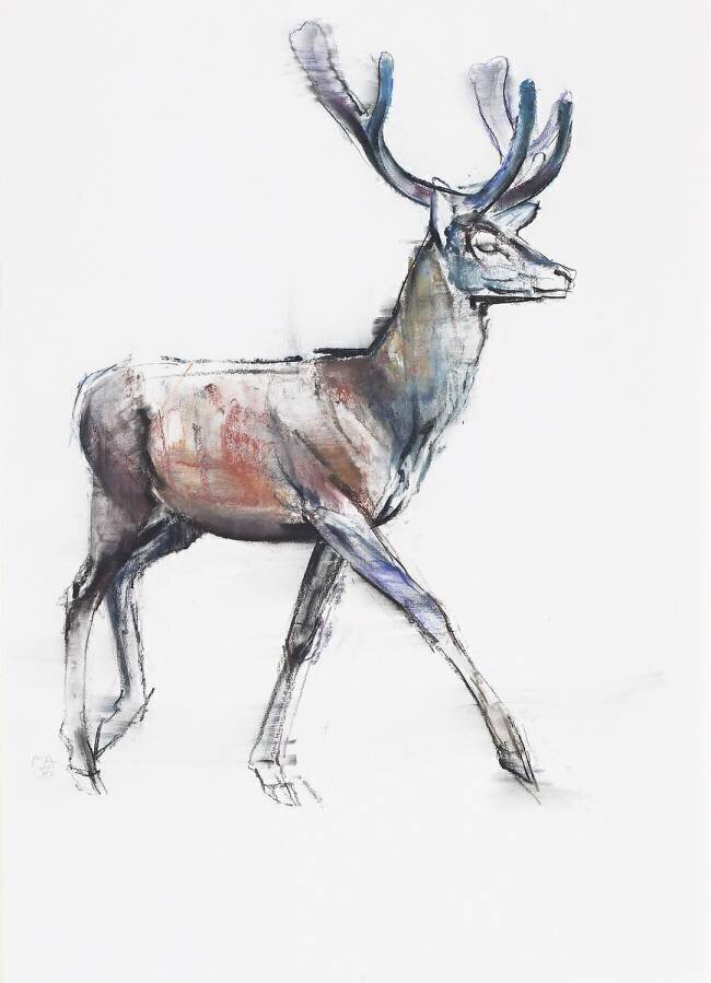 Velvet Mark Adlington