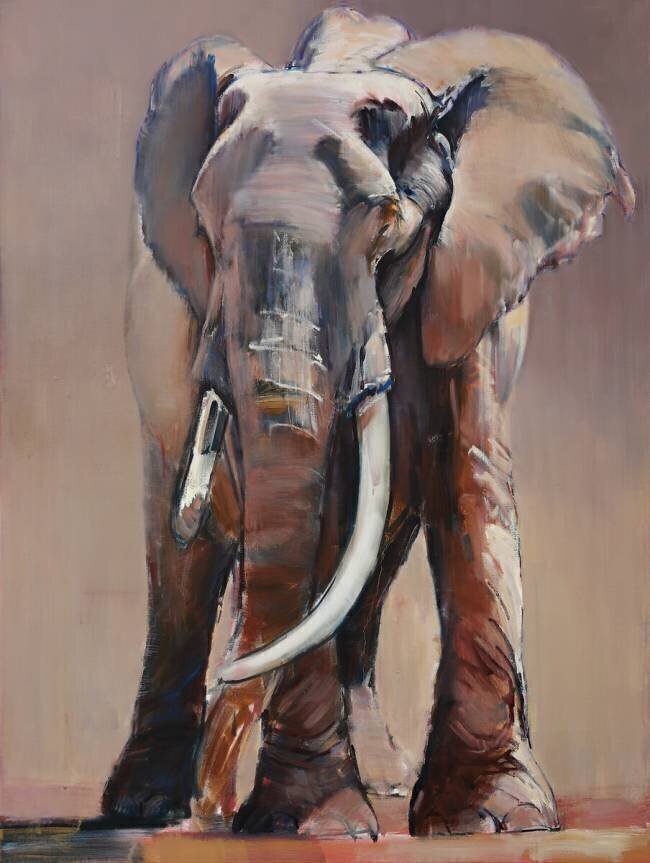 Venerable Old Matriarch Mark Adlington