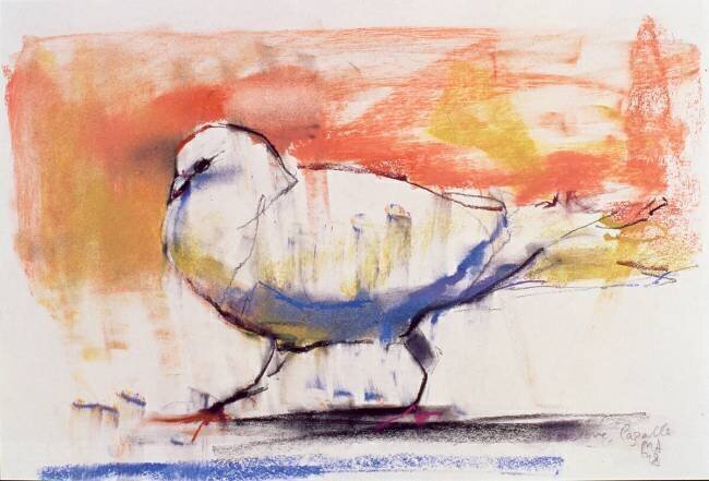 Walking Dove Mark Adlington