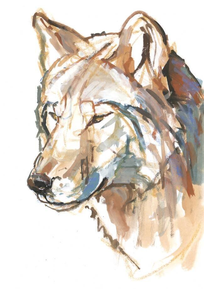 Wolf Mark Adlington
