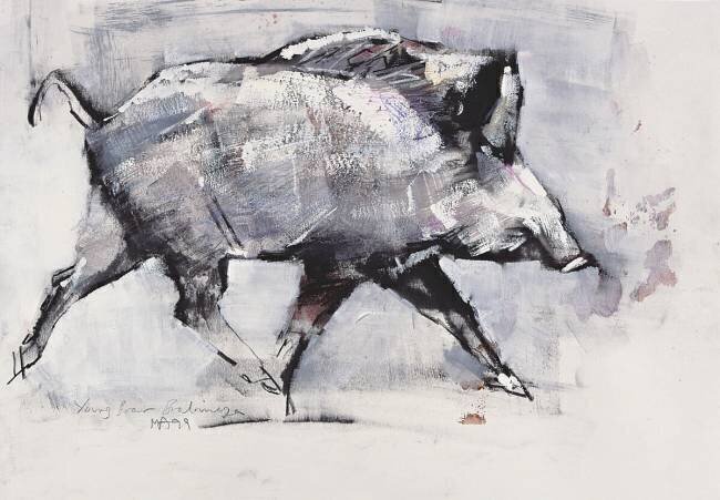 Young boar Mark Adlington