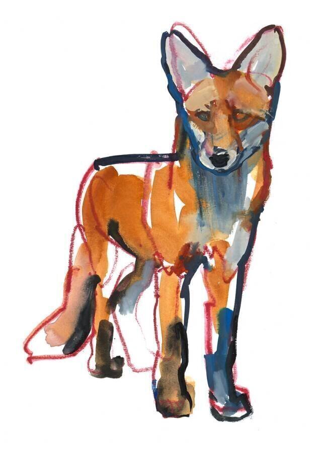 Young Fox Mark Adlington