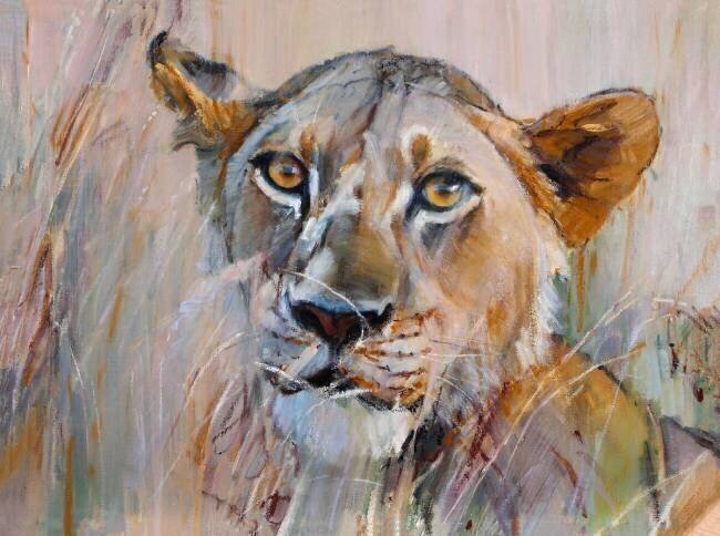 Young Lion in the Grass Mark Adlington