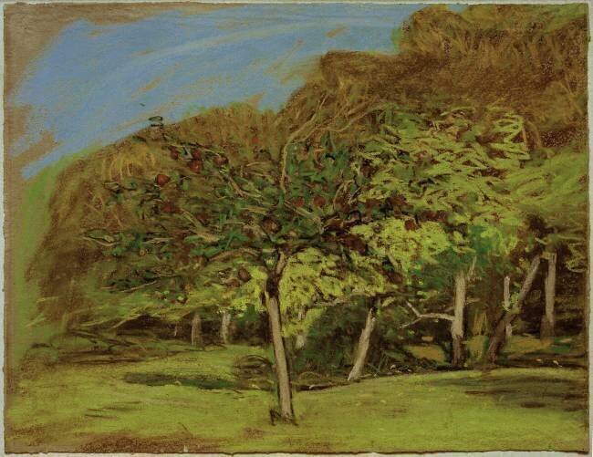 Arbres fruitiers Claude Monet