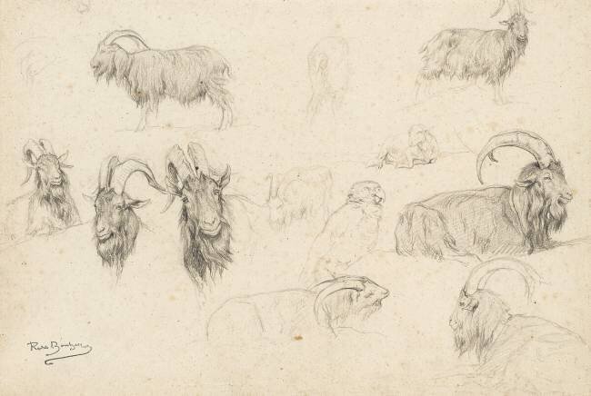 Dix études de chèvres, un mouton, un perroquet Rosa Bonheur