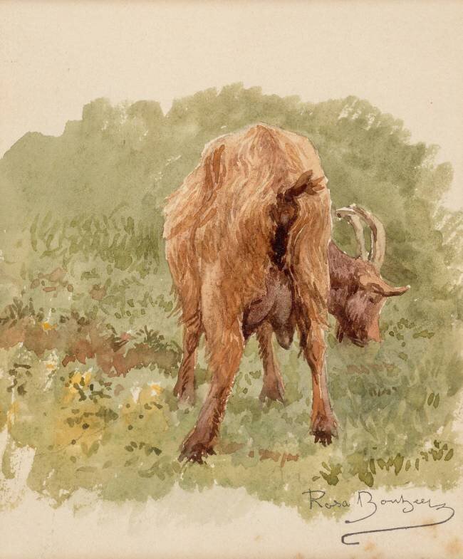 Etude de chèvre Rosa Bonheur