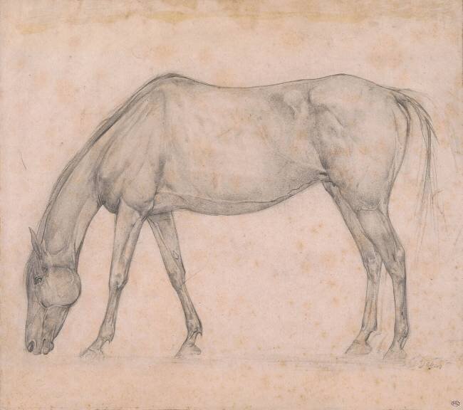 Etude de cheval Edgar Degas